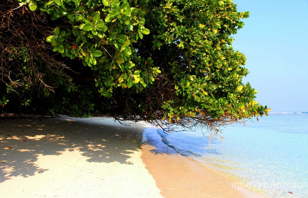 1-Der-schönste-Malediven-Strand