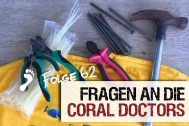 Coral Doctors Podcast Fragen