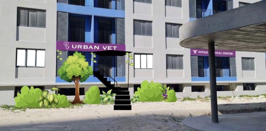 Zukünftige Katzenklinik auf den Malediven