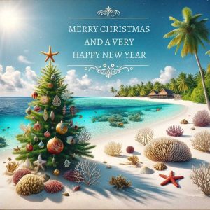 Frohe Weihnacht von den Inselnauten Malediven
