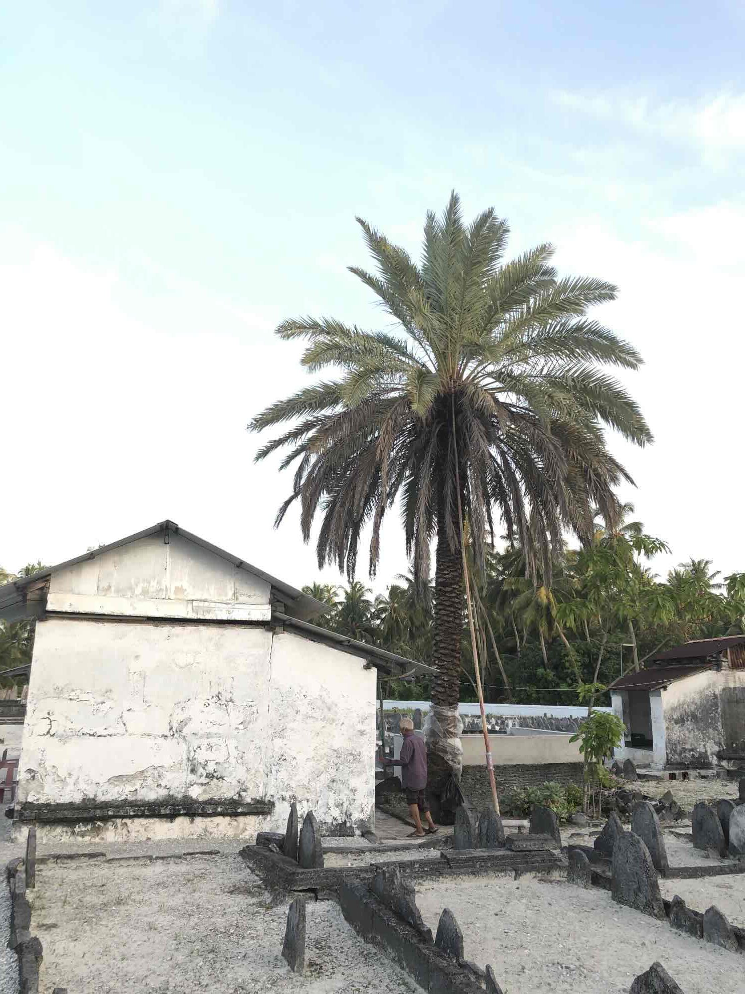00030_Hulhumeedhoo_Addu