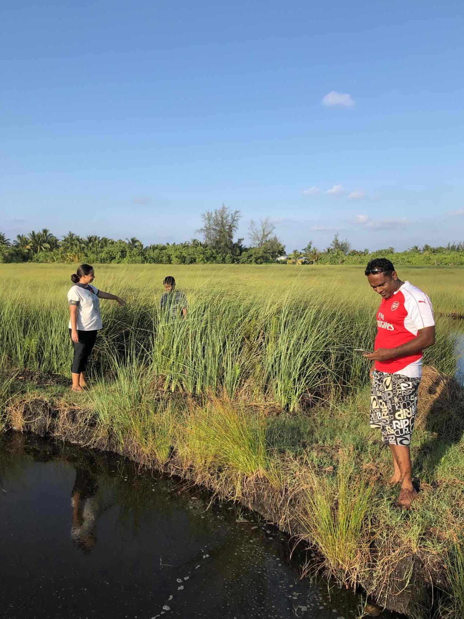 00035_Hulhumeedhoo_Addu